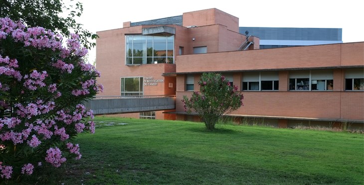 Centro de Investigación del Cáncer